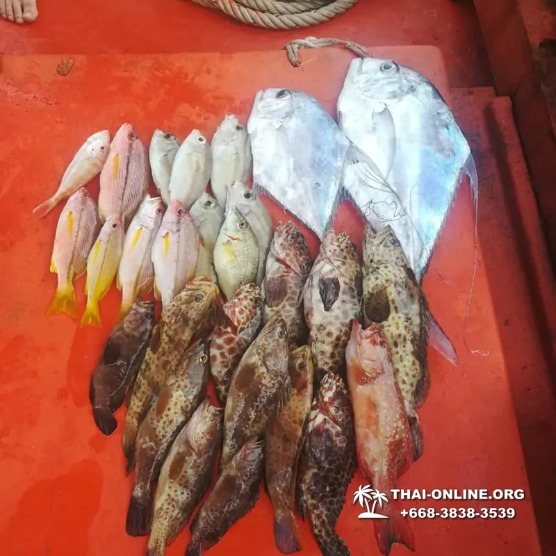 Большая морская рыбалка 7 Countries Паттайя Таиланд Real Fishing 118
