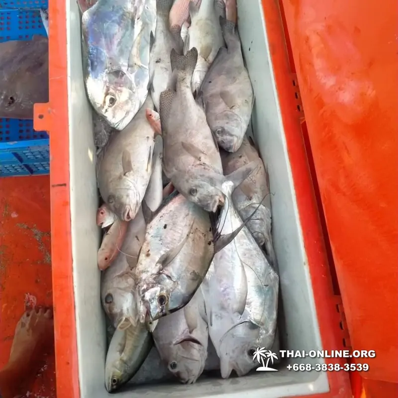 Большая морская рыбалка 7 Countries Паттайя Таиланд Real Fishing 231