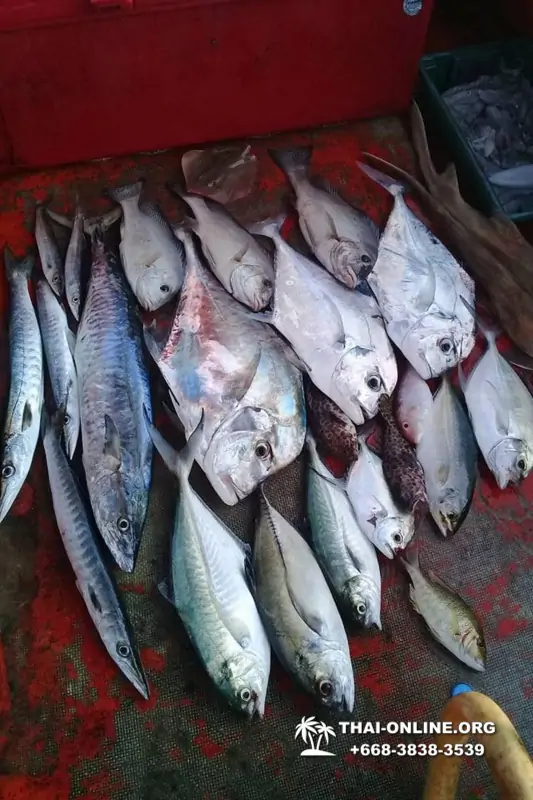 Большая морская рыбалка 7 Countries Паттайя Таиланд Real Fishing 197