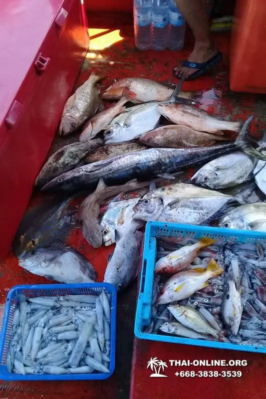 Большая морская рыбалка 7 Countries Паттайя Таиланд Real Fishing 93