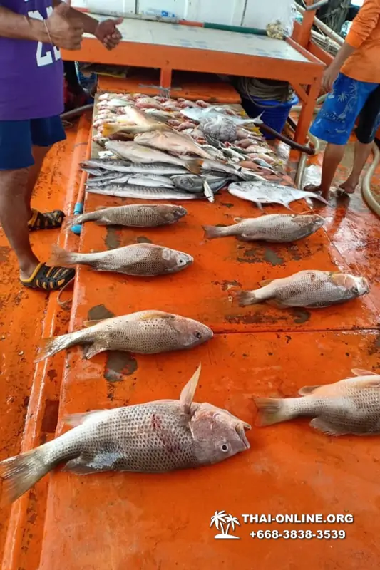 Большая морская рыбалка 7 Countries Паттайя Таиланд Real Fishing 115