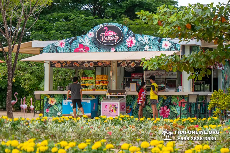 Поездка в Рамаяна новый аквапарк Тайланда со скидкой - фото 201910151
