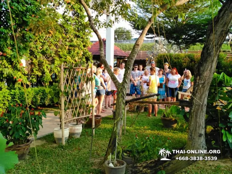 Asian Spicy Garden в Паттайе Таиланде Seven Countries экскурсии 100