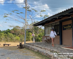 Кхао Яй - Чудесный Край экскурсия 7 Тур Паттайя фото 315