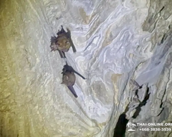 Кхао Яй Чудесный Край турпоездка 7 Tour Online Паттайя фото 374