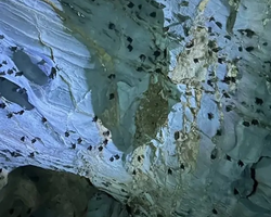 Кхао Яй Чудесный Край турпоездка 7 Tour Online Паттайя фото 329