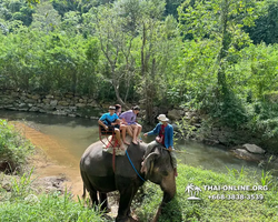 Кхао Яй - Чудесный Край турпоездка Magic Thai Паттайя фото 246