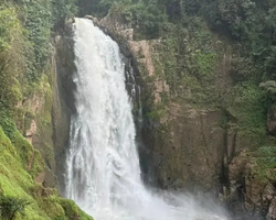 Кхао Яй Чудесный Край турпоездка 7 Tour Online Паттайя фото 309