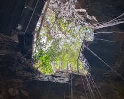 Кхао Яй Чудесный Край турпоездка 7 Tour Online Паттайя фото 338