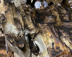 Кхао Яй - Чудесный Край экскурсия Seven Countries Паттайя фото 283