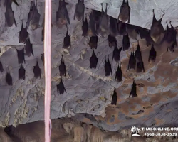 Кхао Яй Чудесный Край турпоездка 7 Tour Online Паттайя фото 364