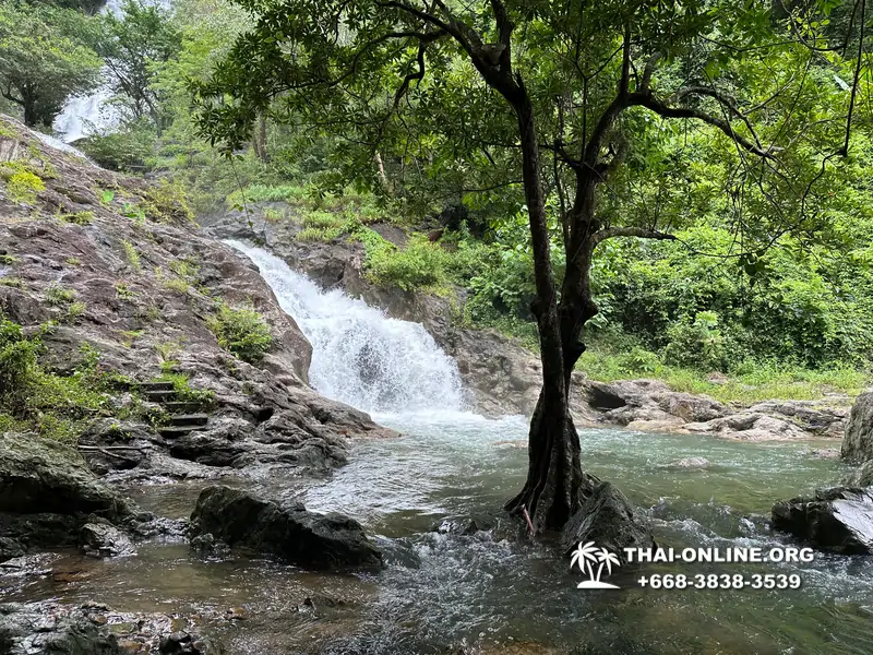 Экскурсия Кхао Яй Чудесный Край с туристической компанией Seven Countries на водопады с трекингом по джунглям, выполняется из Паттайи Таиланд - фото 23