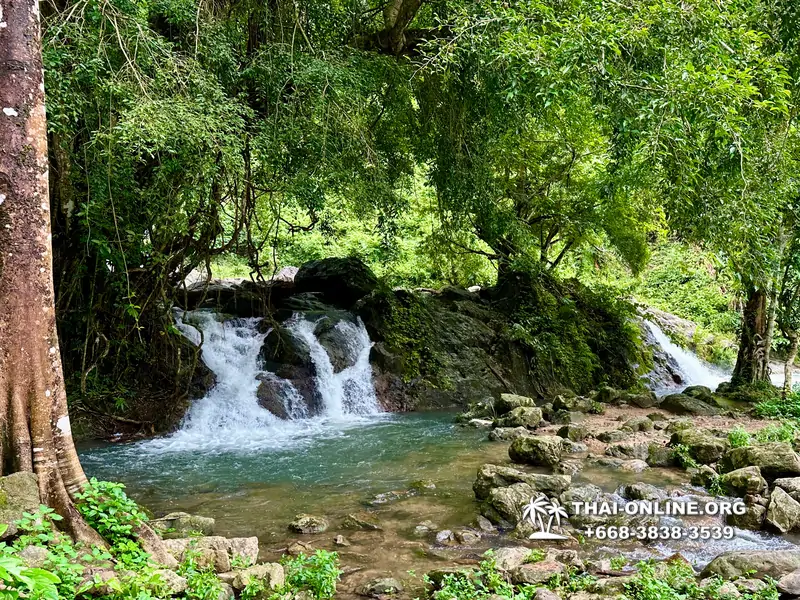 Экскурсия Кхао Яй Чудесный Край с туристической компанией Seven Countries на водопады с трекингом по джунглям, выполняется из Паттайи Таиланд - фото 9