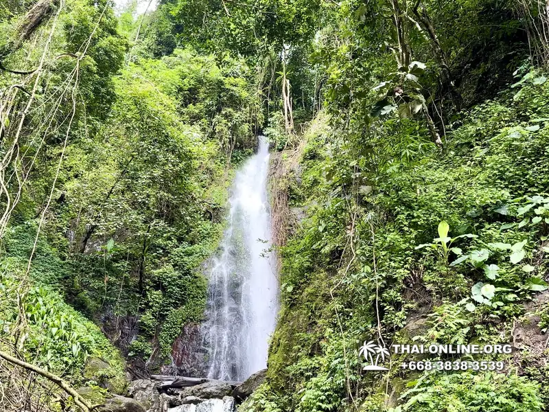 Экскурсия Кхао Яй Чудесный Край с туристической компанией Seven Countries на водопады с трекингом по джунглям, выполняется из Паттайи Таиланд - фото 8