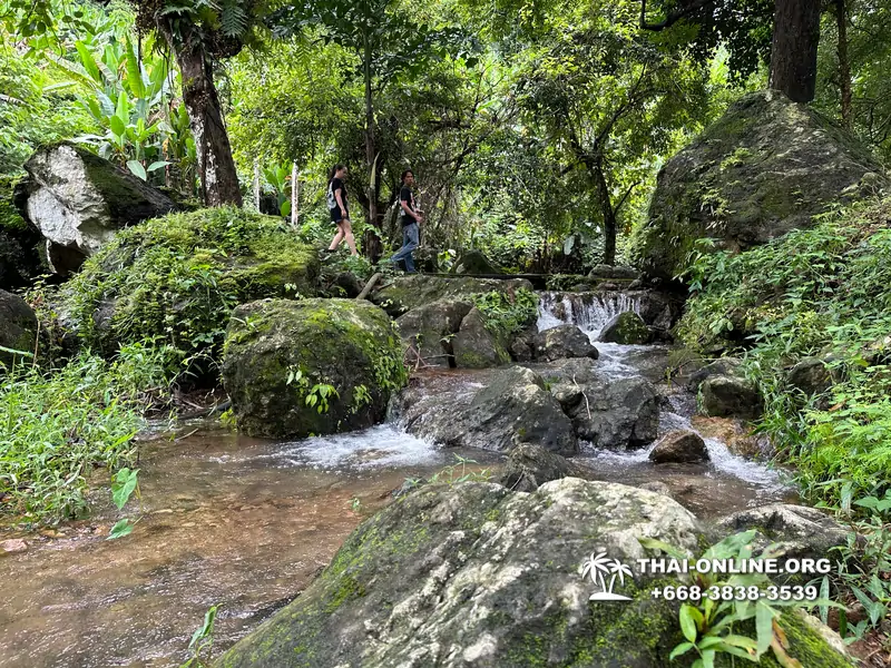 Экскурсия Кхао Яй Чудесный Край с туристической компанией Seven Countries на водопады с трекингом по джунглям, выполняется из Паттайи Таиланд - фото 13