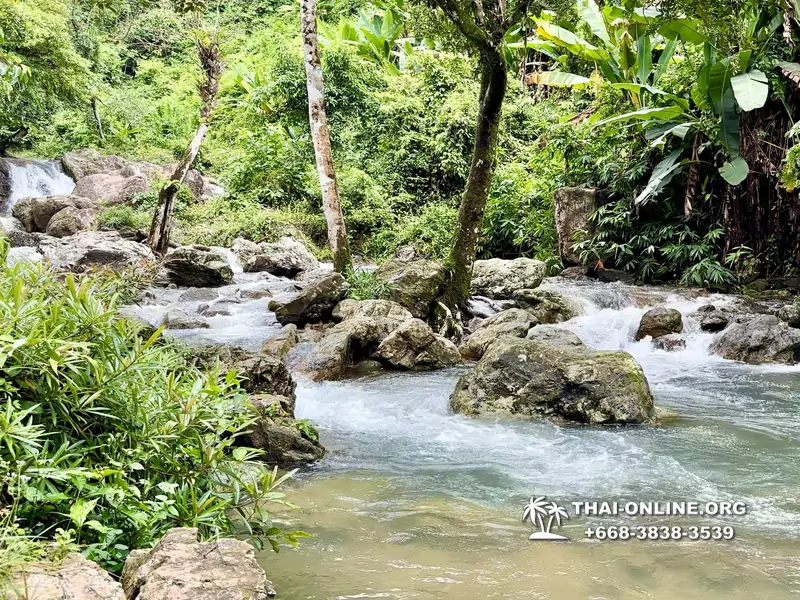Экскурсия Кхао Яй Чудесный Край с туристической компанией Seven Countries на водопады с трекингом по джунглям, выполняется из Паттайи Таиланд - фото 20