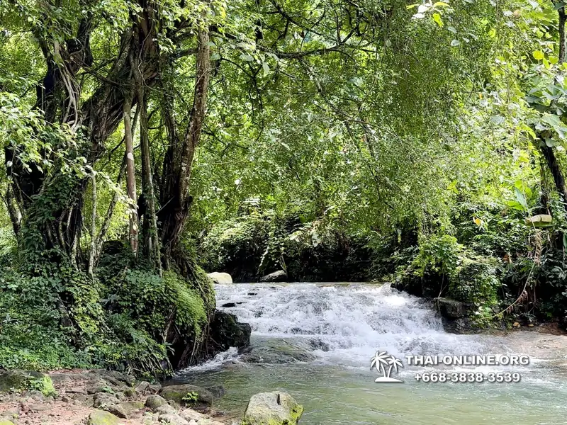 Экскурсия Кхао Яй Чудесный Край с туристической компанией Seven Countries на водопады с трекингом по джунглям, выполняется из Паттайи Таиланд - фото 11