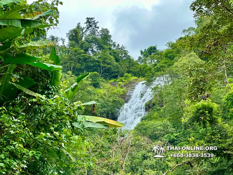 Экскурсия Кхао Яй Чудесный Край с туристической компанией Seven Countries на водопады с трекингом по джунглям, выполняется из Паттайи Таиланд - фото 25