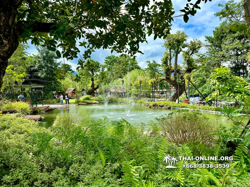Экскурсия Кхао Яй Чудесный Край с туристической компанией Seven Countries на водопады с трекингом по джунглям, выполняется из Паттайи Таиланд - фото 6
