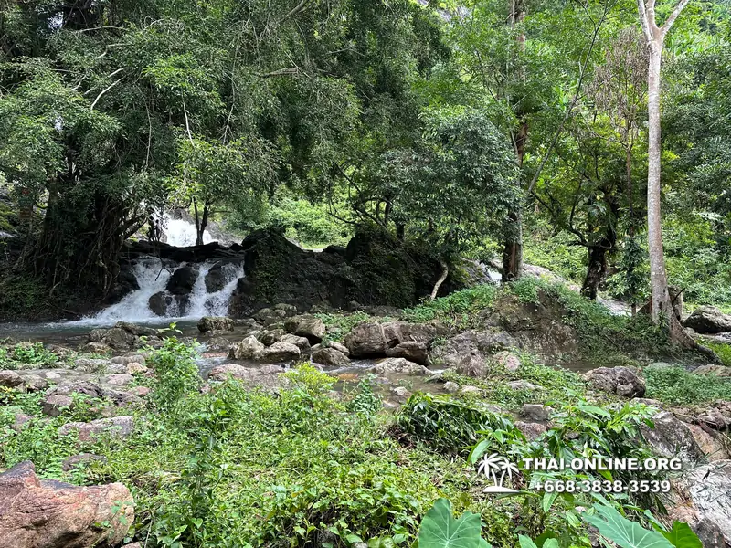 Экскурсия Кхао Яй Чудесный Край с туристической компанией Seven Countries на водопады с трекингом по джунглям, выполняется из Паттайи Таиланд - фото 3
