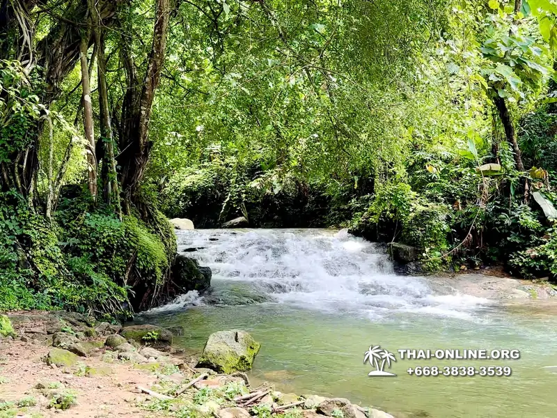 Экскурсия Кхао Яй Чудесный Край с туристической компанией Seven Countries на водопады с трекингом по джунглям, выполняется из Паттайи Таиланд - фото 31