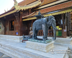 Очарование Чианг Мая тур с компанией Seven Countries Таиланд фото 21