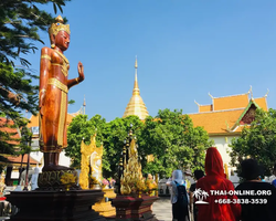 Очарование Чианг Мая тур с компанией Seven Countries Таиланд фото 23