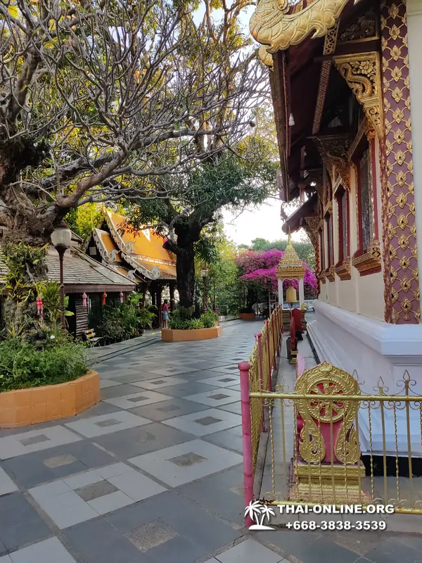 Экскурсии в Паттайе с туристической компанией Seven Countries, двухдневный тур в Чианг Май с восхождением на Дой Интханон - фото 7