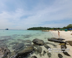 Pattaya Bay Cruise тур на острова Таиланда в Паттайе - фото 422