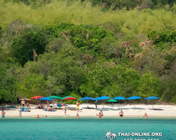 Pattaya Bay Cruise тур на острова Таиланда в Паттайе - фото 692