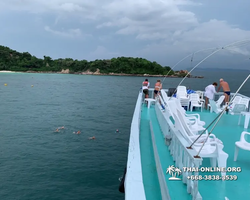 Pattaya Bay Cruise тур на острова Таиланда в Паттайе - фото 210