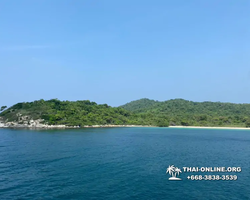 Pattaya Bay Cruise тур на острова Таиланда в Паттайе - фото 455