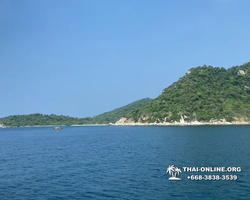 Pattaya Bay Cruise тур на острова Таиланда в Паттайе - фото 433