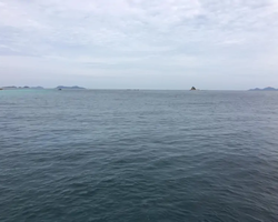 Pattaya Bay Cruise тур на острова Таиланда в Паттайе - фото 6