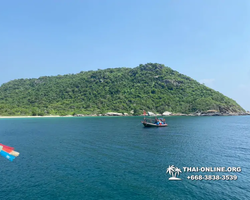 Pattaya Bay Cruise тур на острова Таиланда в Паттайе - фото 396