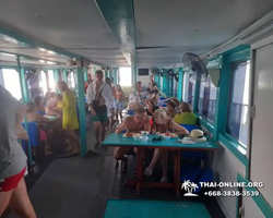 Pattaya Bay Cruise тур на острова Таиланда в Паттайе - фото 445