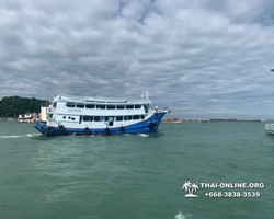 Pattaya Bay Cruise тур на острова Таиланда в Паттайе - фото 243