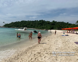 Pattaya Bay Cruise тур на острова Таиланда в Паттайе - фото 170