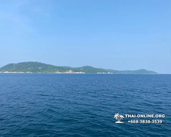 Pattaya Bay Cruise тур на острова Таиланда в Паттайе - фото 450