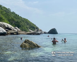 Pattaya Bay Cruise тур на острова Таиланда в Паттайе - фото 383