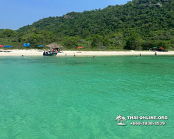 Pattaya Bay Cruise тур на острова Таиланда в Паттайе - фото 508