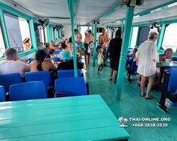 Pattaya Bay Cruise тур на острова Таиланда в Паттайе - фото 514