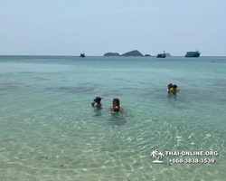 Pattaya Bay Cruise тур на острова Таиланда в Паттайе - фото 467