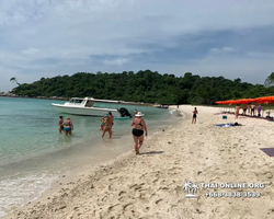 Pattaya Bay Cruise тур на острова Таиланда в Паттайе - фото 372