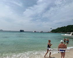 Pattaya Bay Cruise тур на острова Таиланда в Паттайе - фото 229