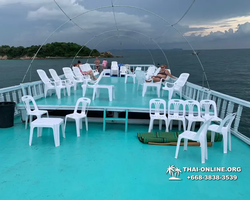 Pattaya Bay Cruise тур на острова Таиланда в Паттайе - фото 201