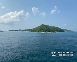 Pattaya Bay Cruise тур на острова Таиланда в Паттайе - фото 426