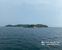 Pattaya Bay Cruise тур на острова Таиланда в Паттайе - фото 480