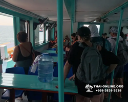 Pattaya Bay Cruise тур на острова Таиланда в Паттайе - фото 228