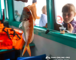 Pattaya Bay Cruise тур на острова Таиланда в Паттайе - фото 613